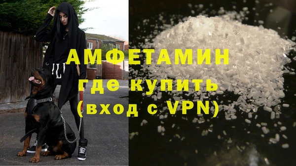 PSILOCYBIN Покачи