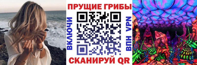 наркошоп  Гагарин  Псилоцибиновые грибы мухоморы 